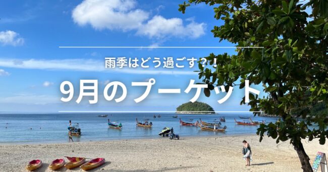 白い砂浜、青い空と海とたくさんの小舟が見えます